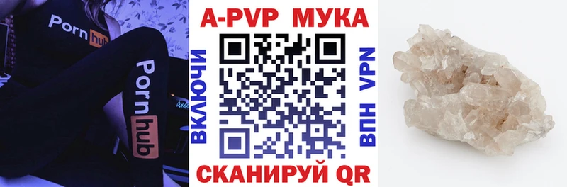 как найти   Великий Новгород  Альфа ПВП СК КРИС 