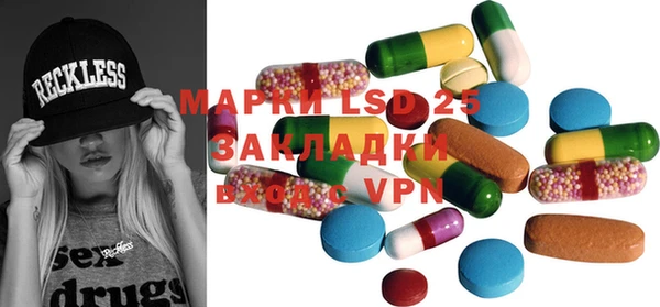 прущие грибы Новокубанск
