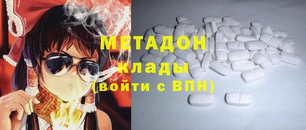 прущие грибы Новокубанск