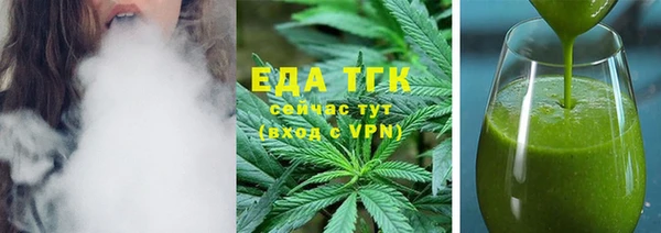индика Новозыбков