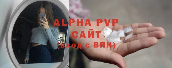 прущие грибы Новокубанск