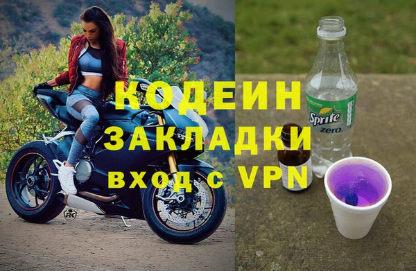индика Новозыбков
