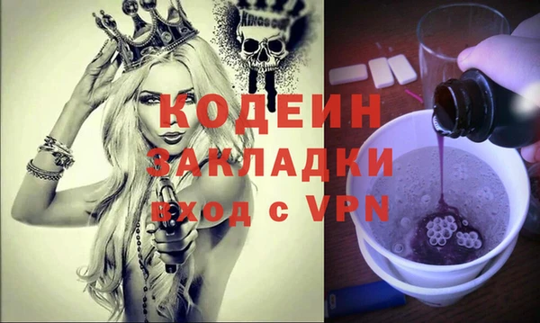 индика Новозыбков