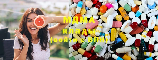 индика Новозыбков