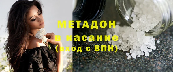 индика Новозыбков
