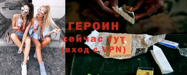 индика Новозыбков