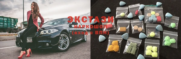 индика Новозыбков