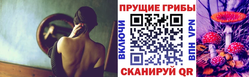 купить закладку  гидра   Галлюциногенные грибы GOLDEN TEACHER  Великий Новгород 